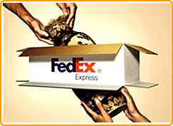 联邦快递 Fedex